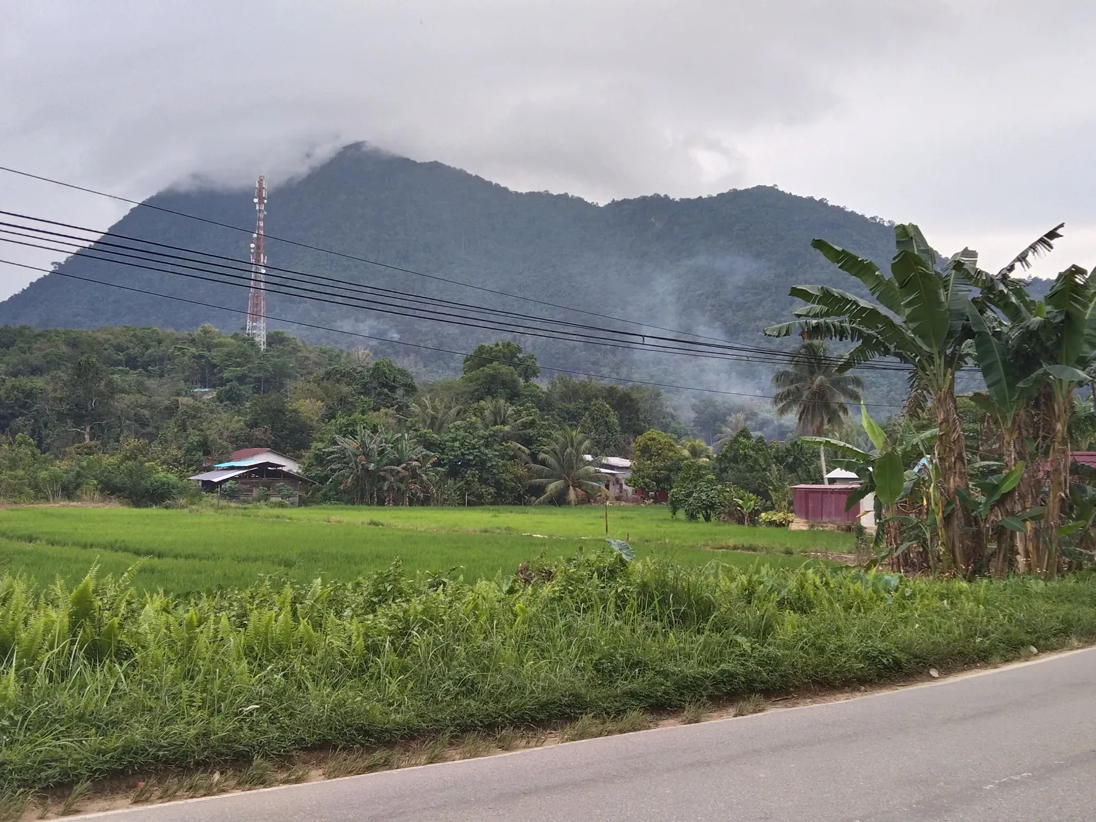 Jalan, sawah, permukiman, dan perbukitan di Singkawang.